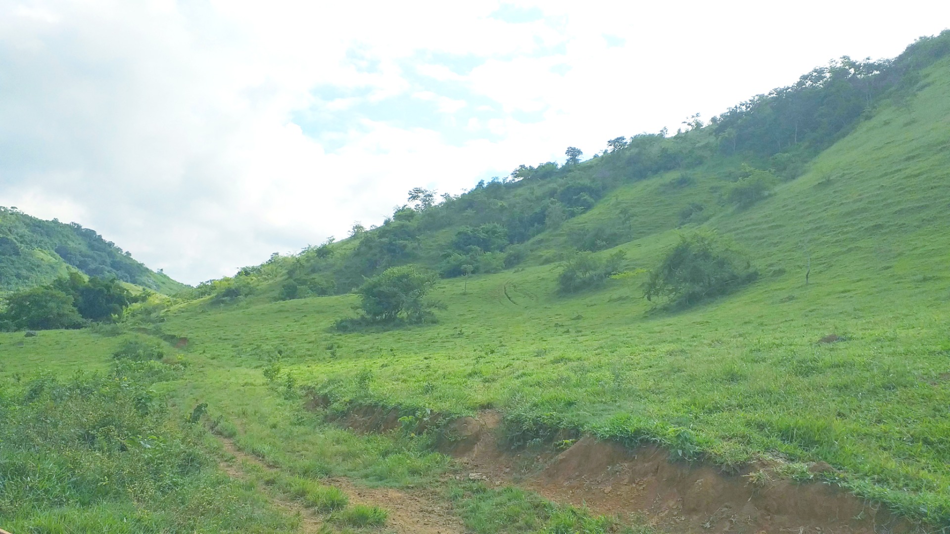 Rural em Pedra Dourada