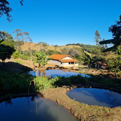 Venda - Rural (Sítio) - Zona Rural - Munhoz/MG - Cod. -180