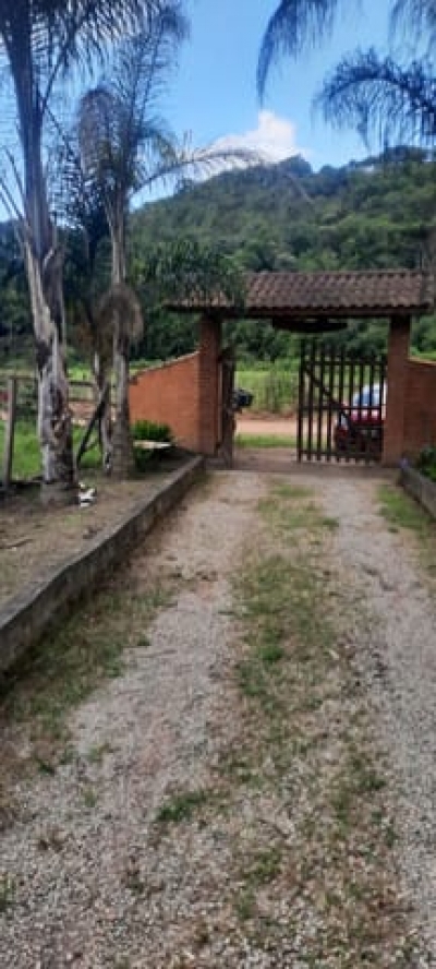 Venda - Rural (Sítio) - Zona Rural - Munhoz/MG - Cod. -250