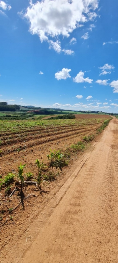 Venda - Rural (Fazenda) - Zona Rural - Munhoz/MG - Cod. -174
