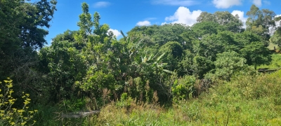 Venda - Rural (Chácara) - Zona Rural - Munhoz/MG - Cod. -1200