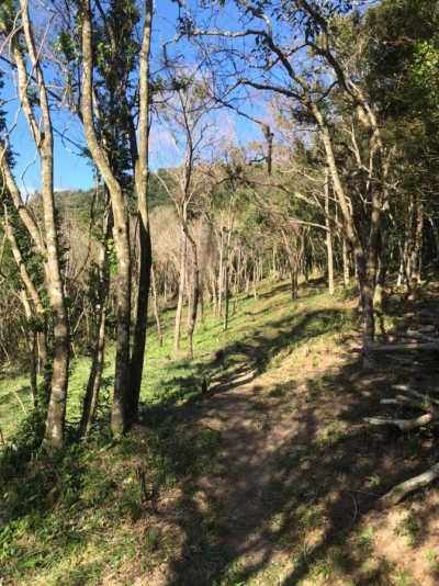 Venda - Terreno (Para empreendimento) - centro - Garopaba/SC - Cod. IMOB301