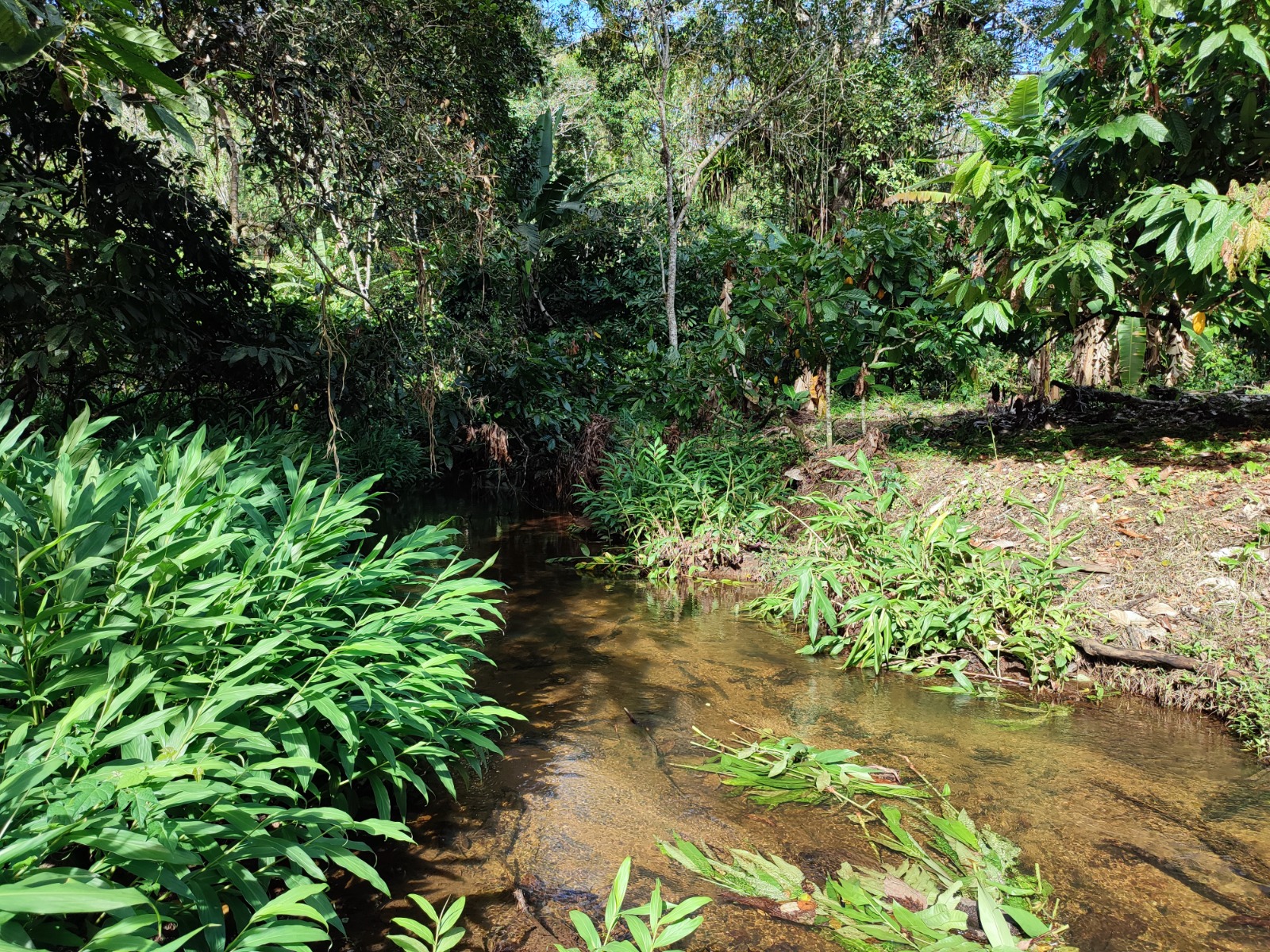 Rural em Maraú