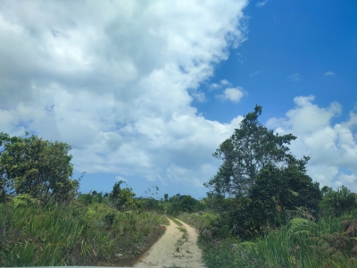 Venda - Rural (Sítio) - Camboinha - Itacaré/BA - Cod. SITIO:02