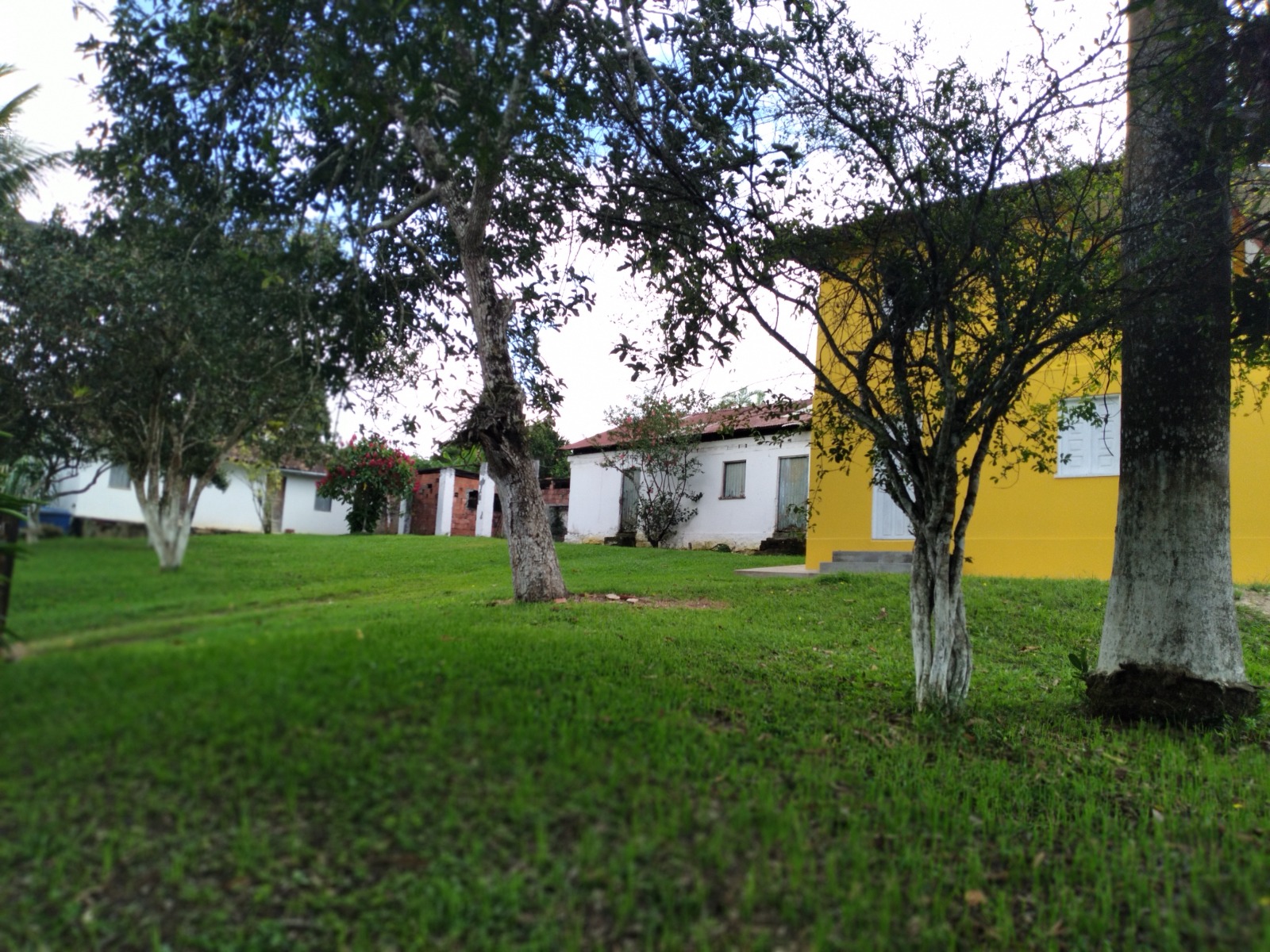 Fazenda  Primavera 