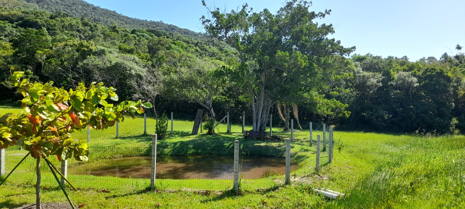 Casa de Condomínio à venda com 5 quartos, 230m² - Foto 27