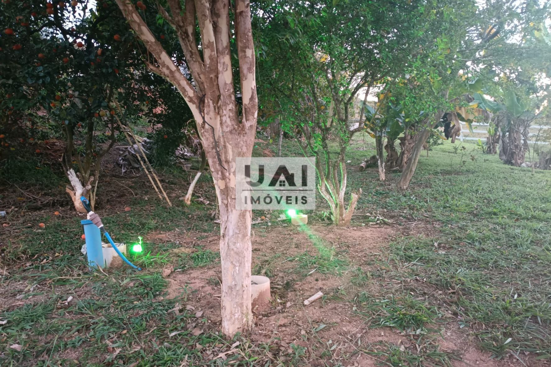 Casa no São José do Alegre — foto 12