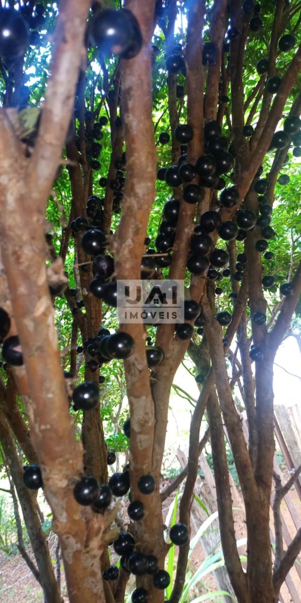 Rural / Chácara no São José do Alegre — foto 9