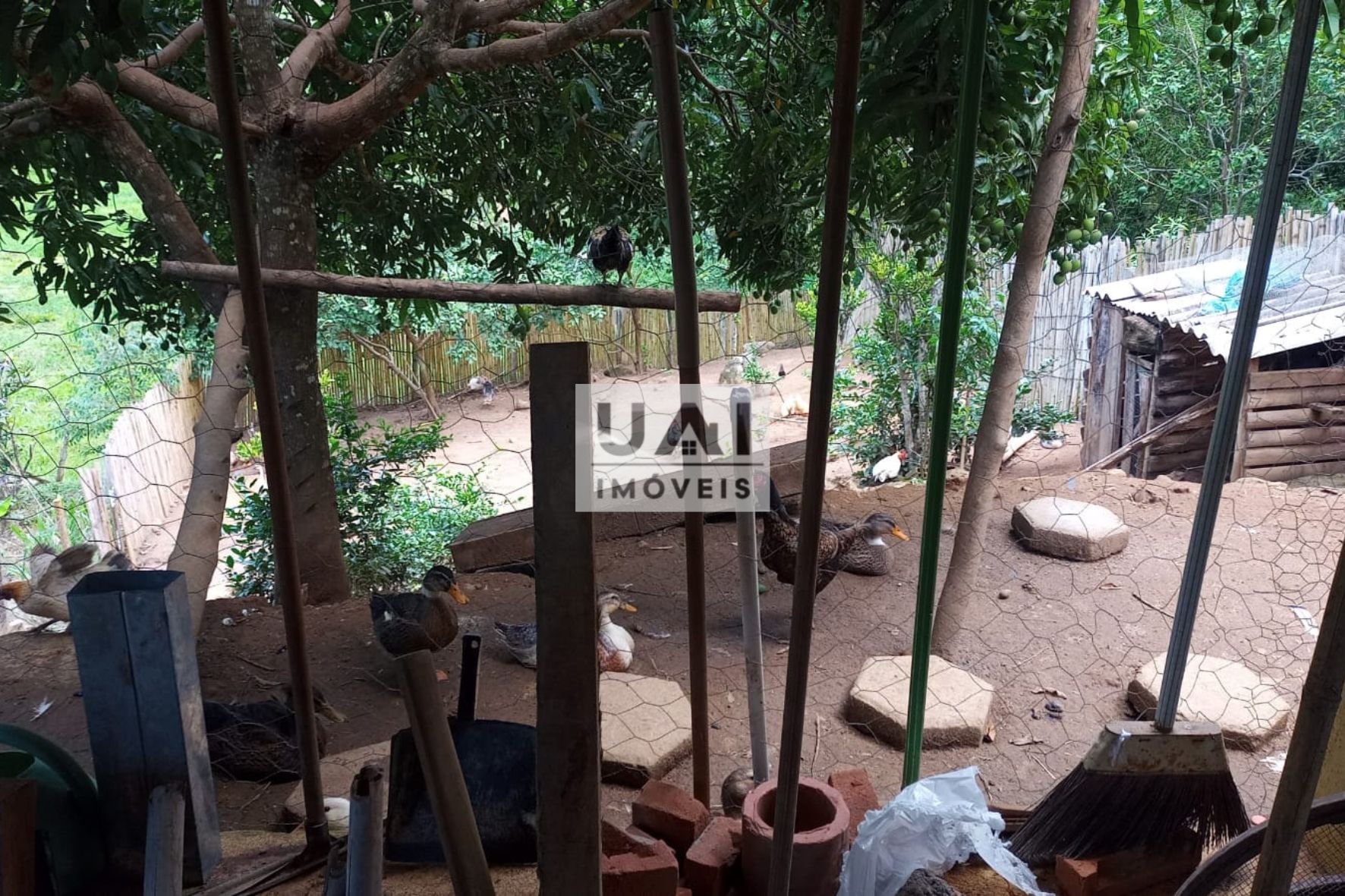 Rural / Chácara no São José do Alegre — foto 8