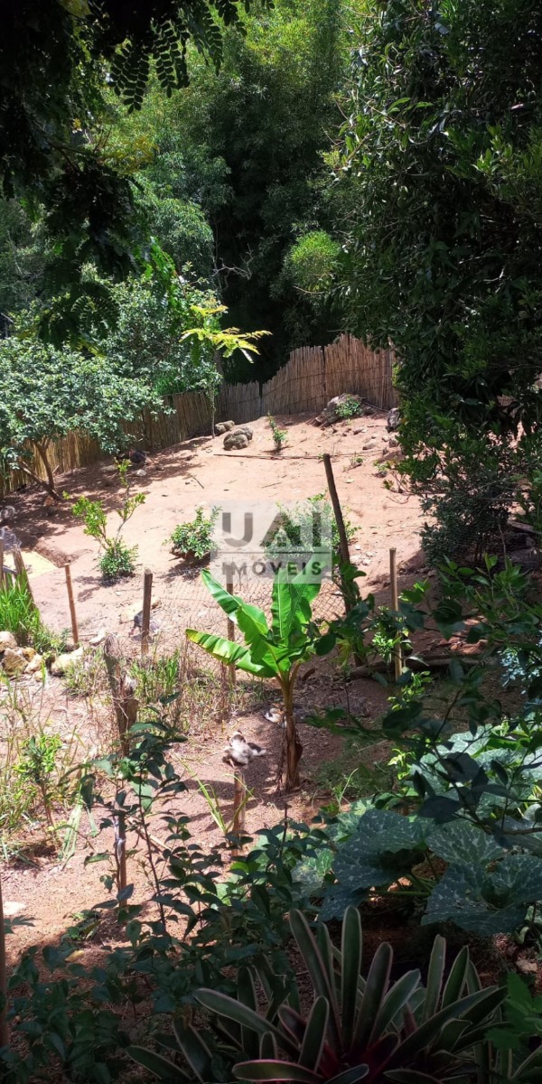 Rural / Chácara no São José do Alegre — foto 7