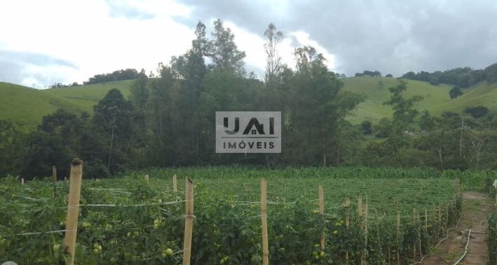 Rural / Chácara no Freires — foto 2