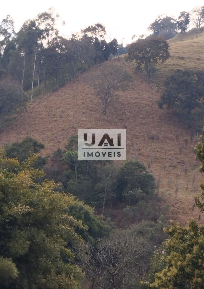 Terreno no Estância — foto 5
