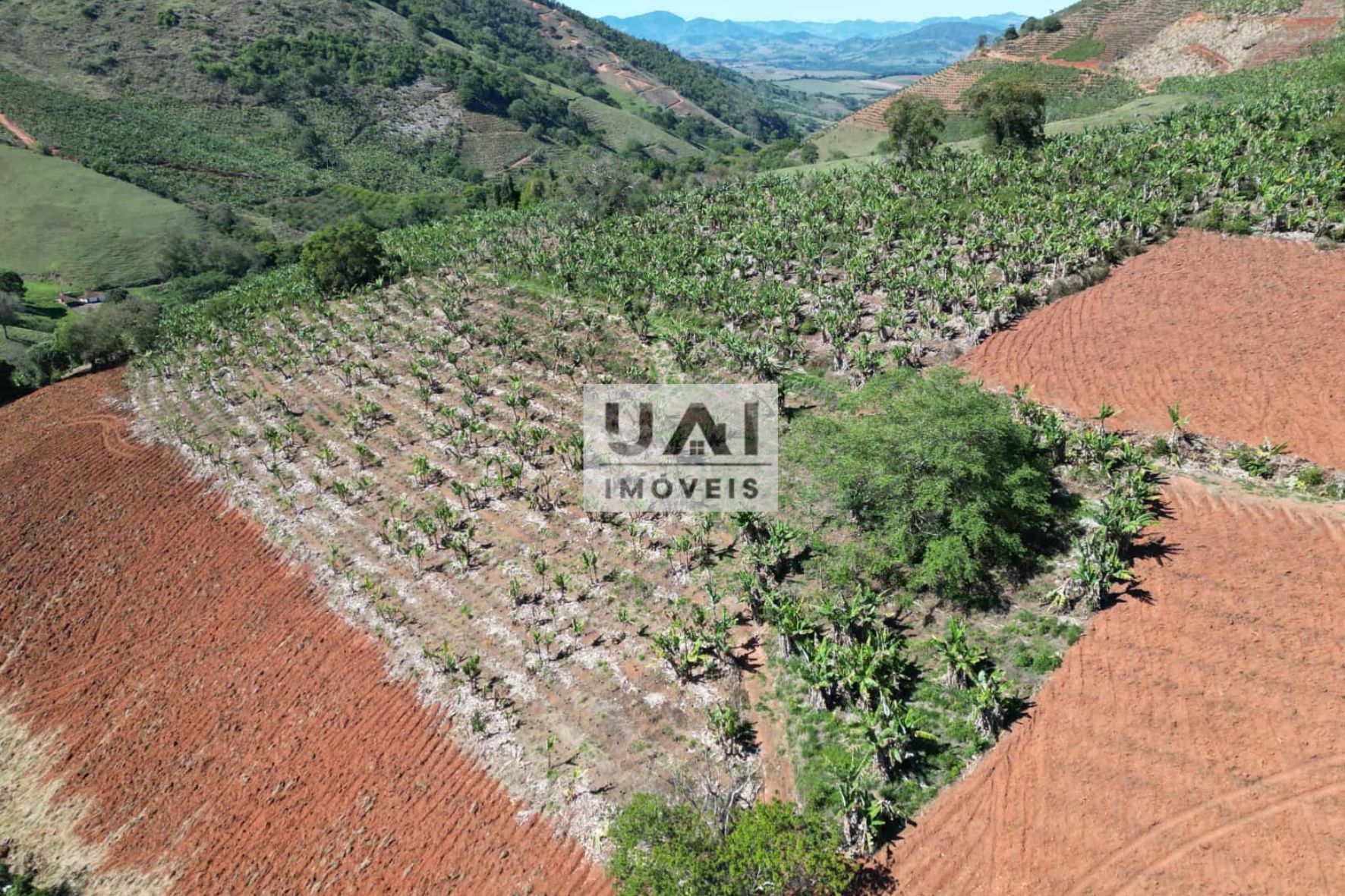 Rural / Chácara no Pitangueira — foto 2