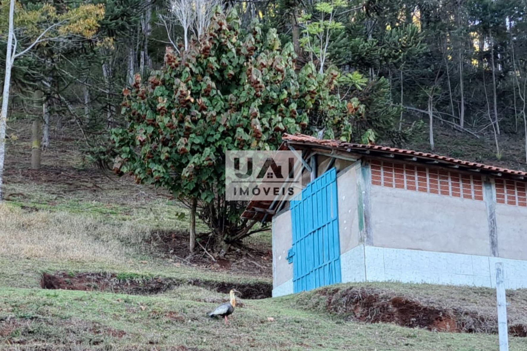 Rural / Chácara no Quatis — foto 13