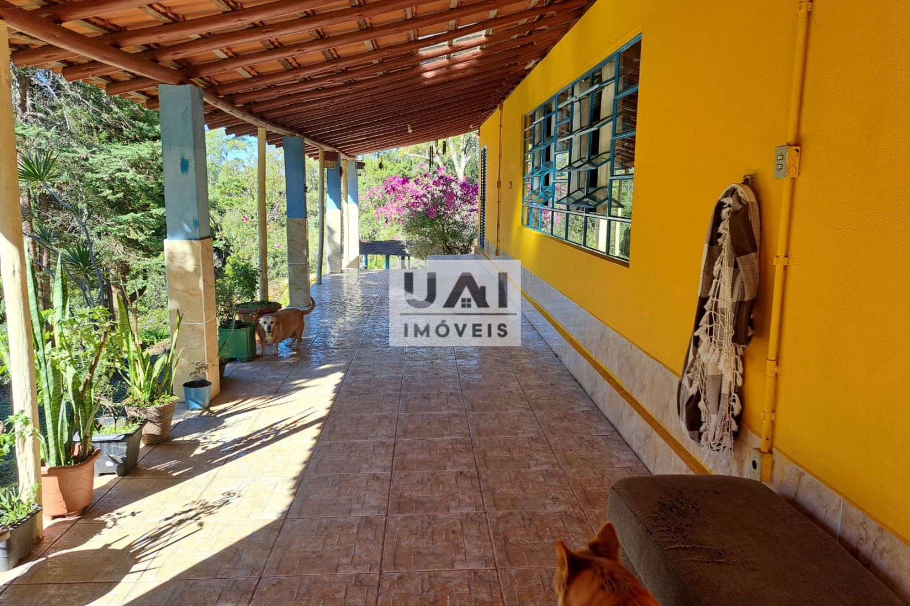 Rural / Chácara no Quatis — foto 4