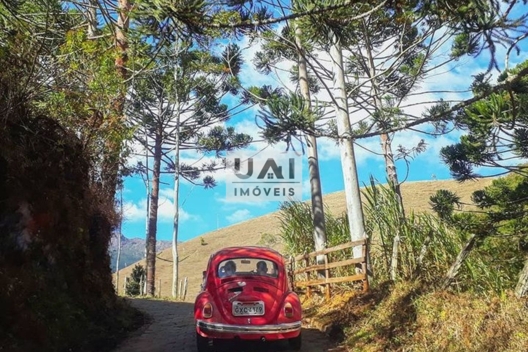 Rural / Chácara no Correias — foto 13