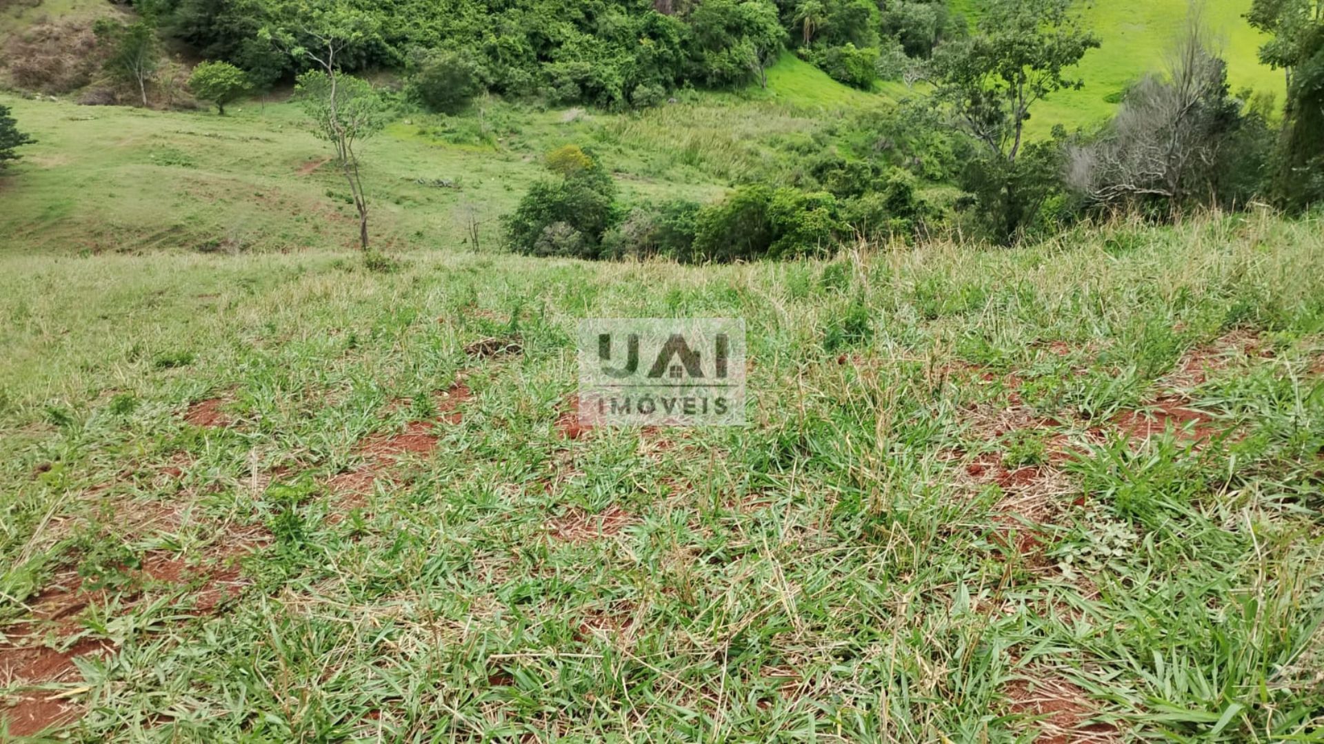 Rural / Chácara no Anhumas — foto 10