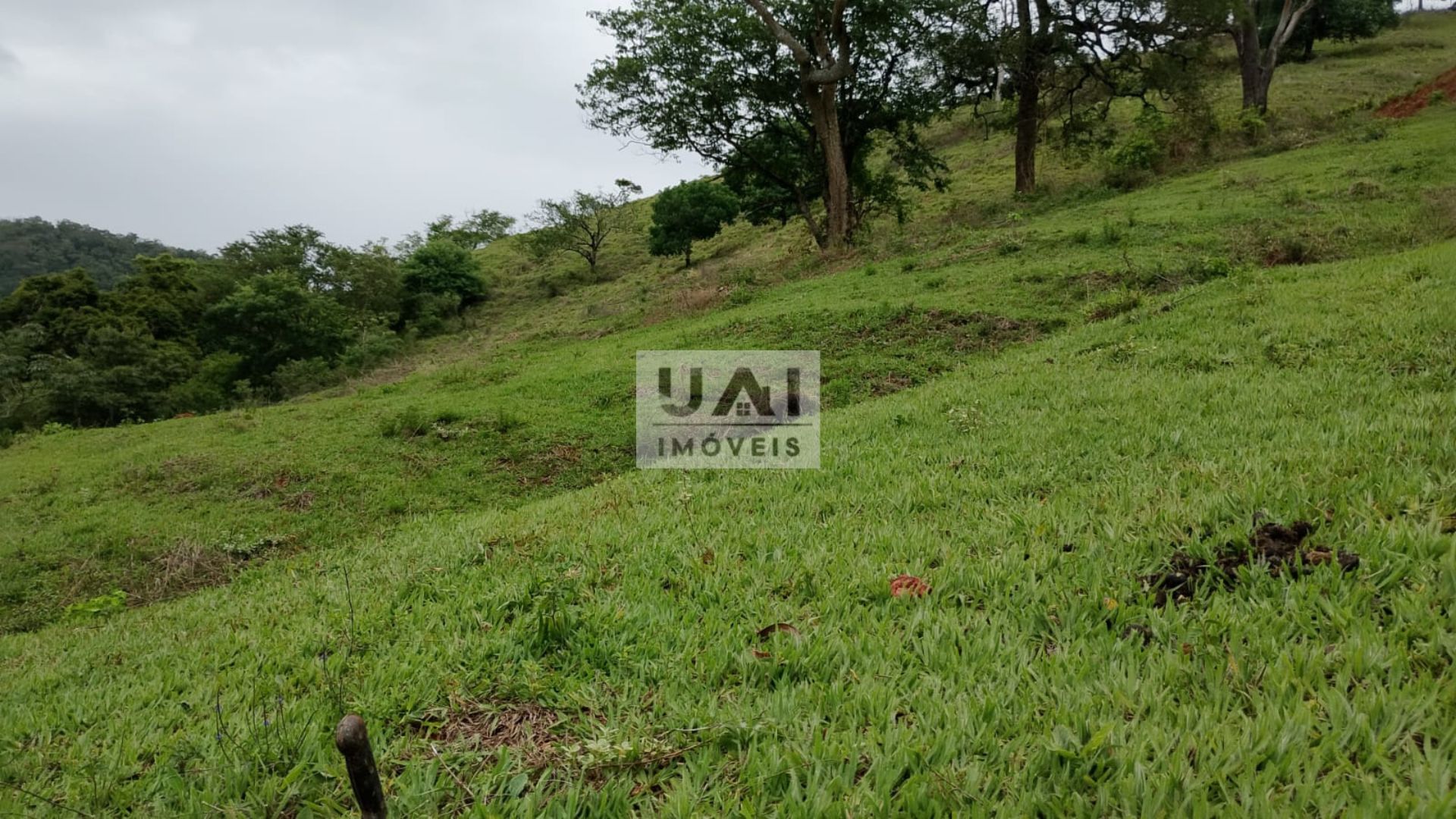 Rural / Chácara no Anhumas — foto 9