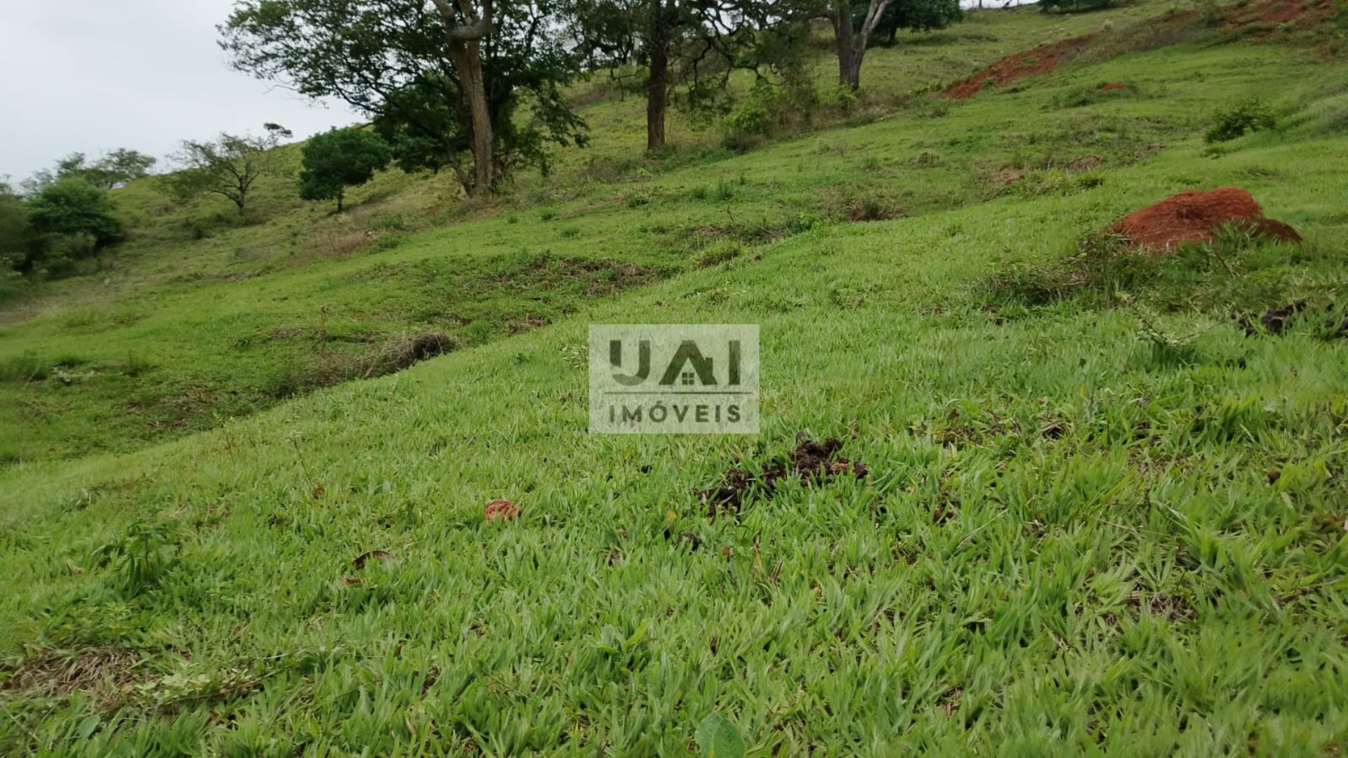 Rural / Chácara no Anhumas — foto 8