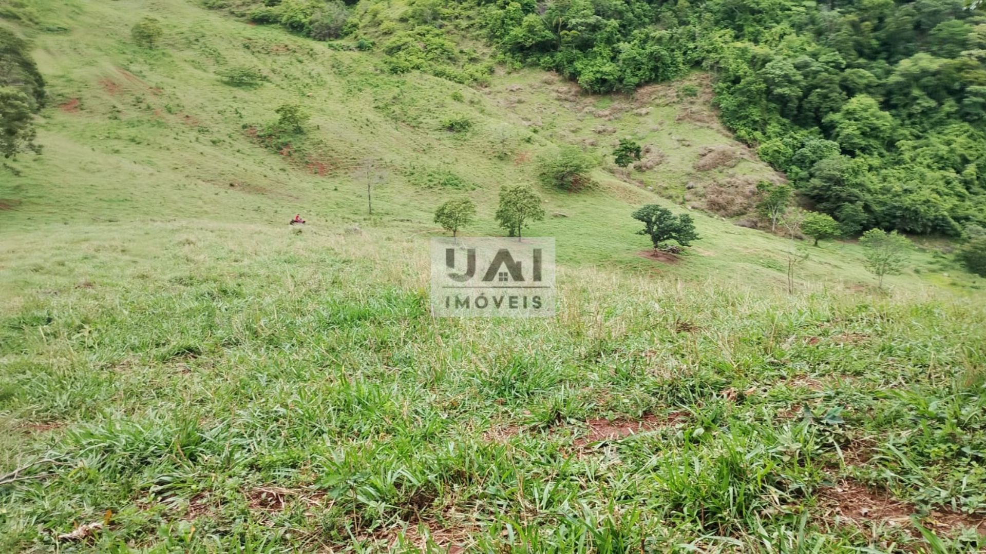 Rural / Chácara no Anhumas — foto 11