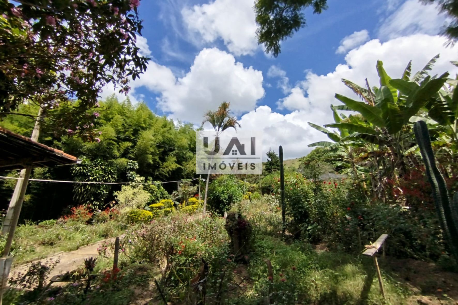 Rural / Chácara no Serrinha — foto 20
