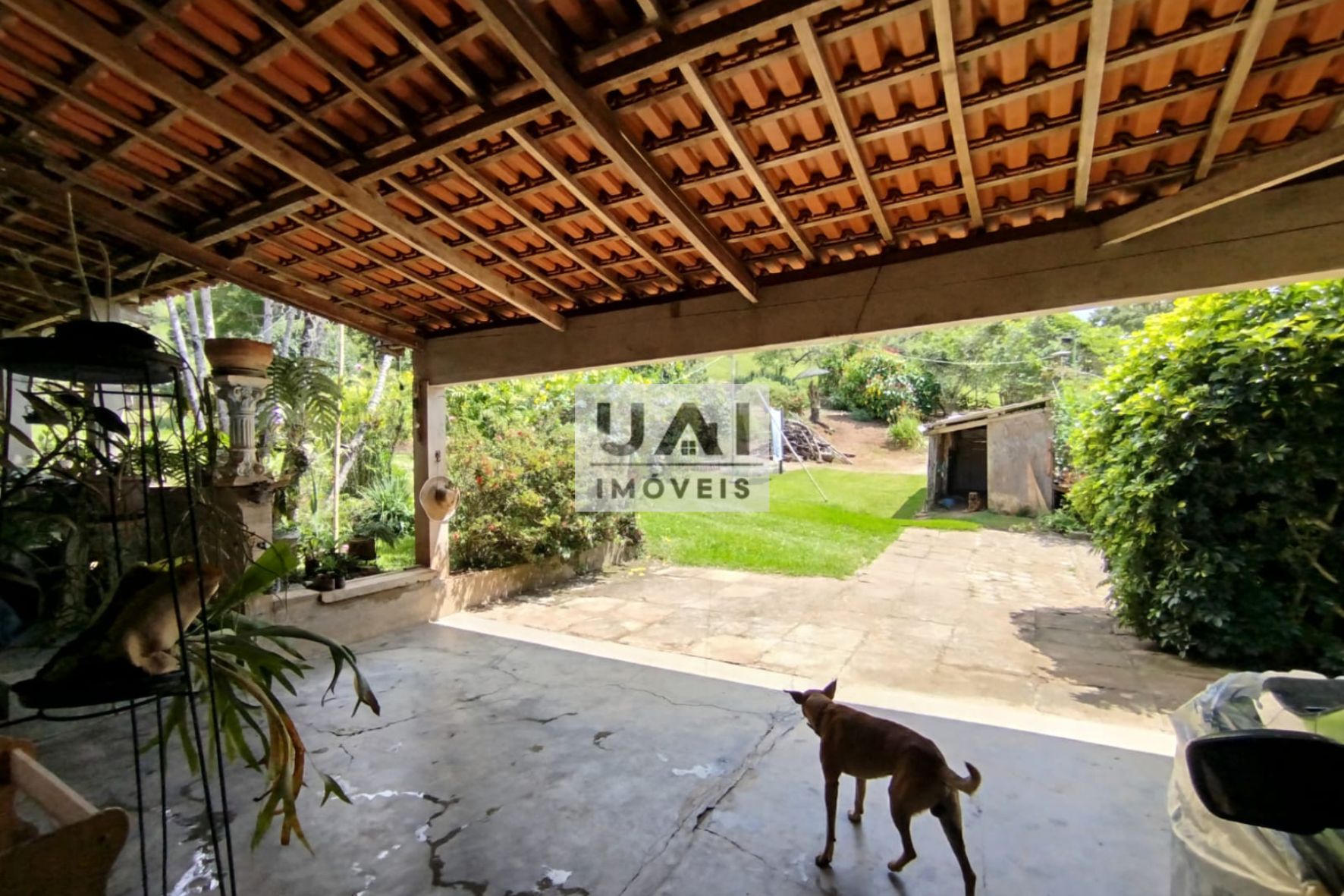 Rural / Chácara no Serrinha — foto 4