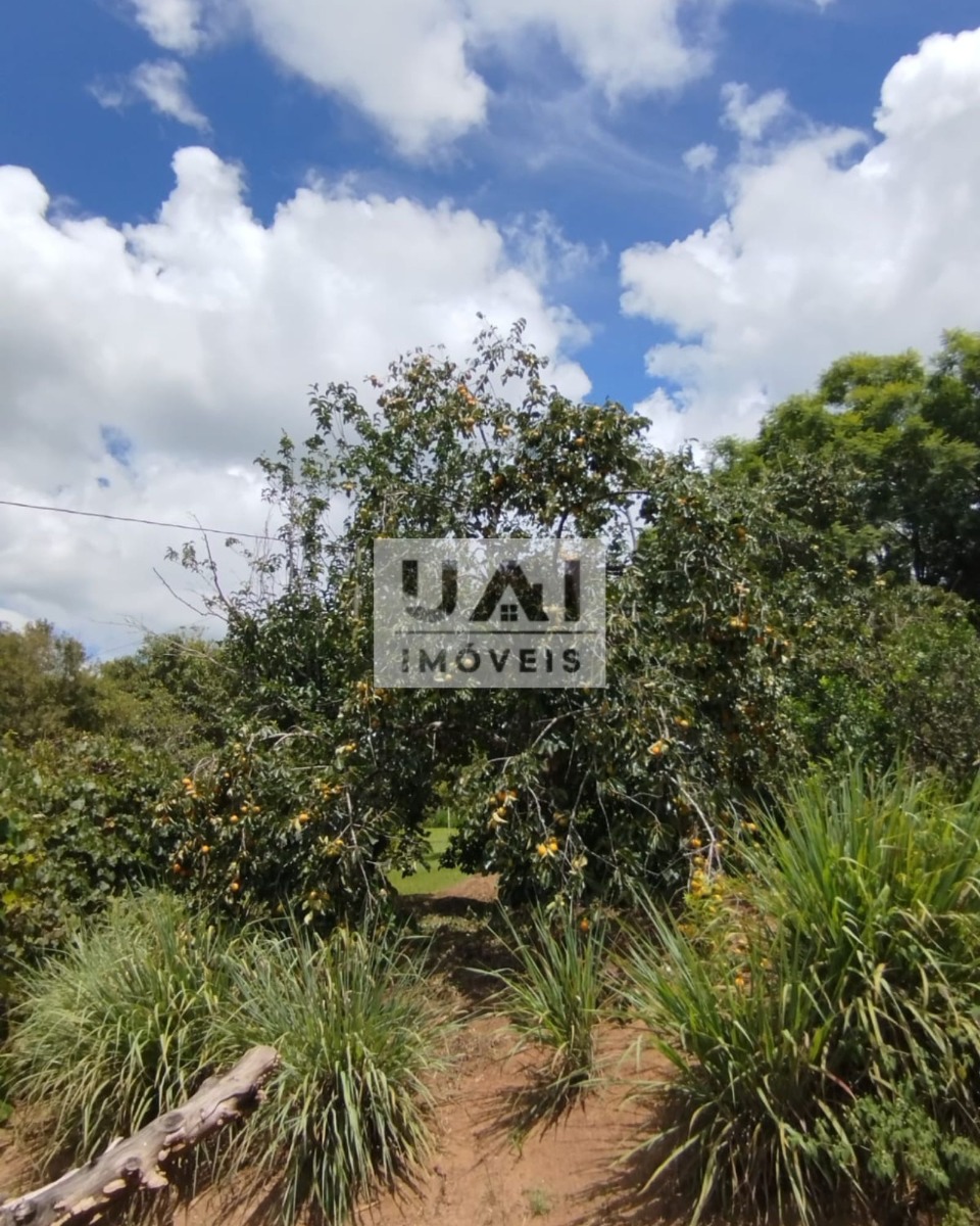 Rural / Chácara no Serrinha — foto 39