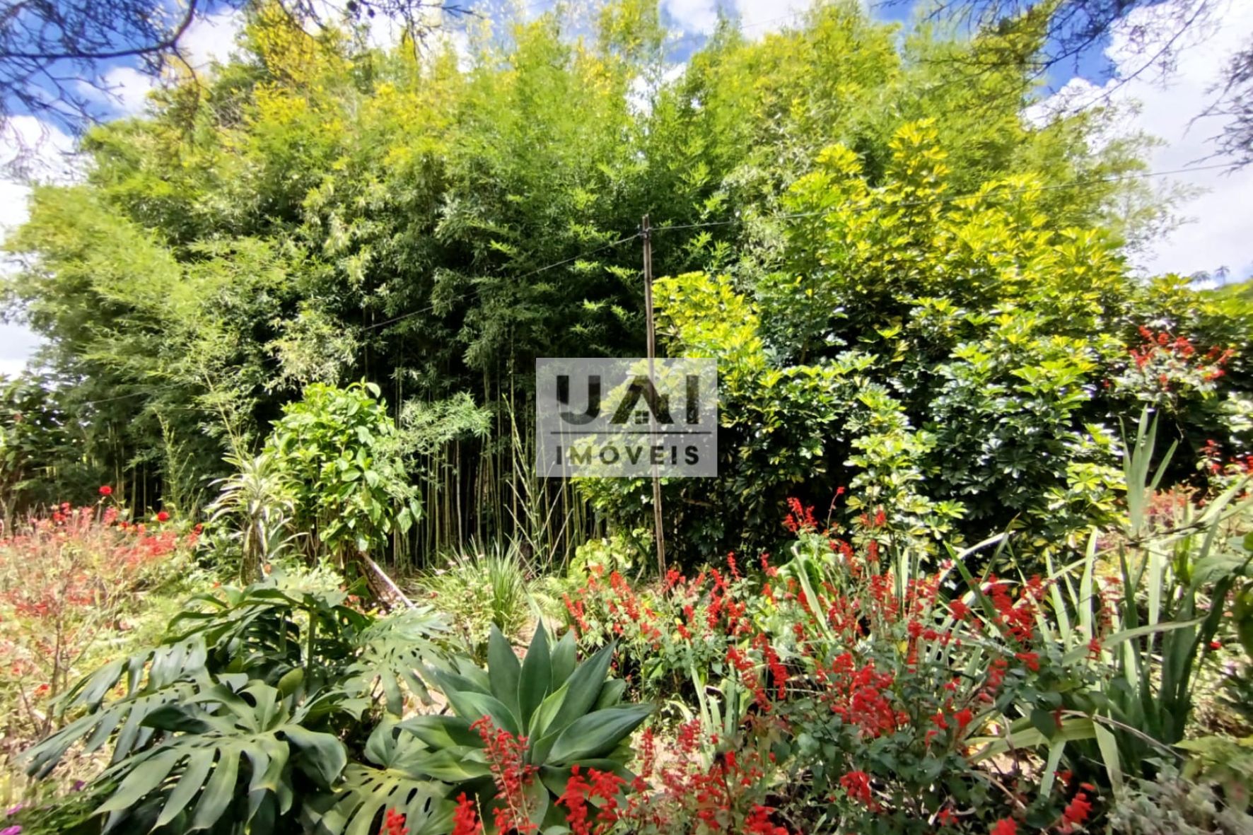 Rural / Chácara no Serrinha — foto 24