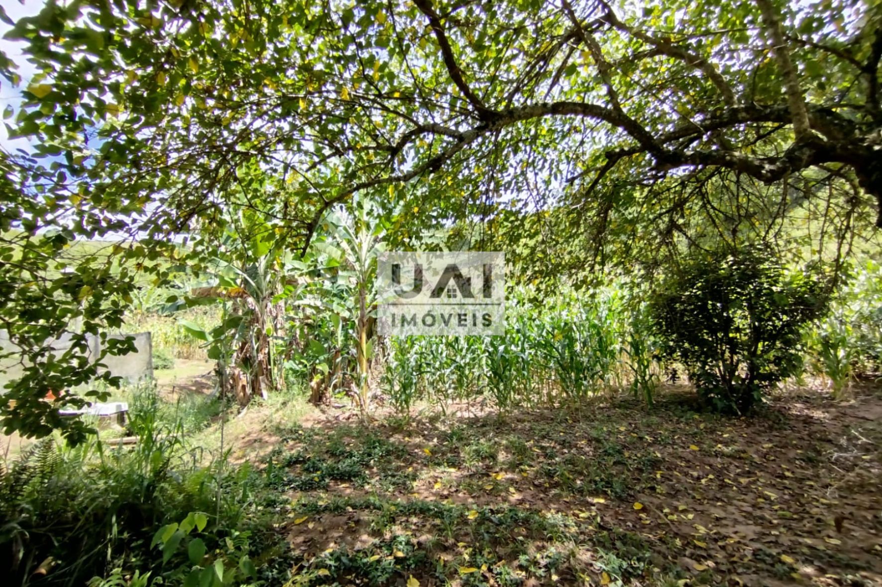 Rural / Chácara no Serrinha — foto 26