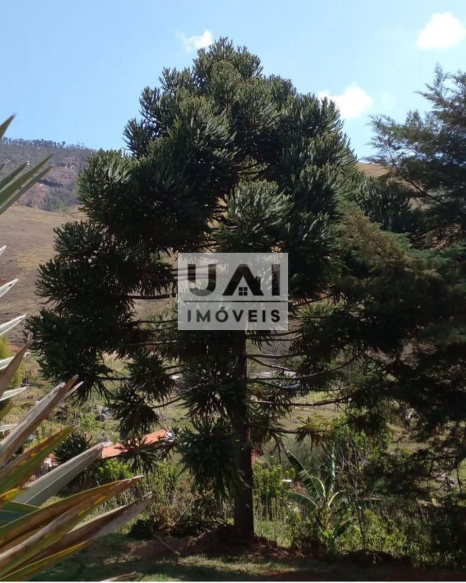 Rural / Chácara no Serra dos Toledos — foto 37