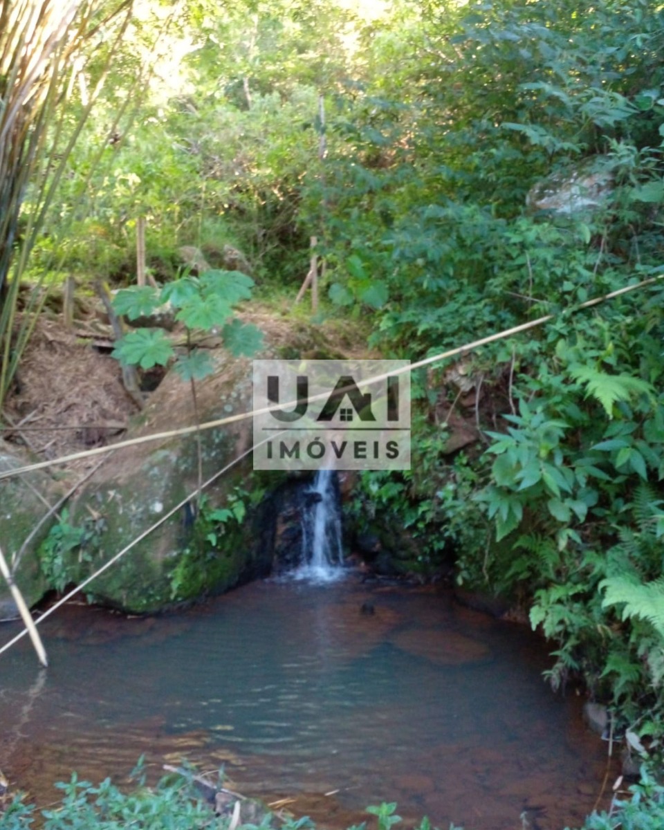 Rural / Chácara no Serra dos Toledos — foto 27