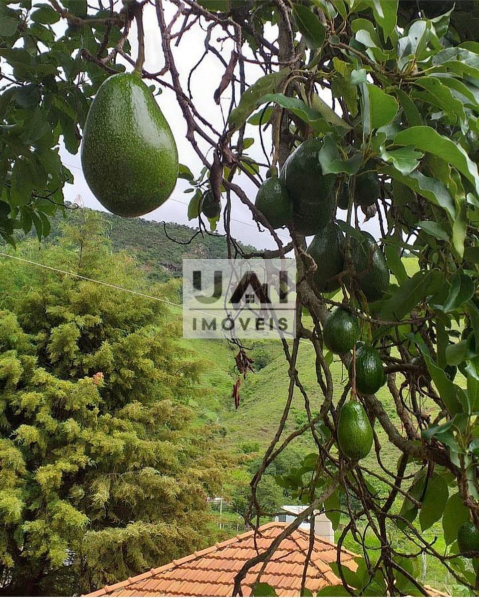 Rural / Chácara no Serra dos Toledos — foto 38