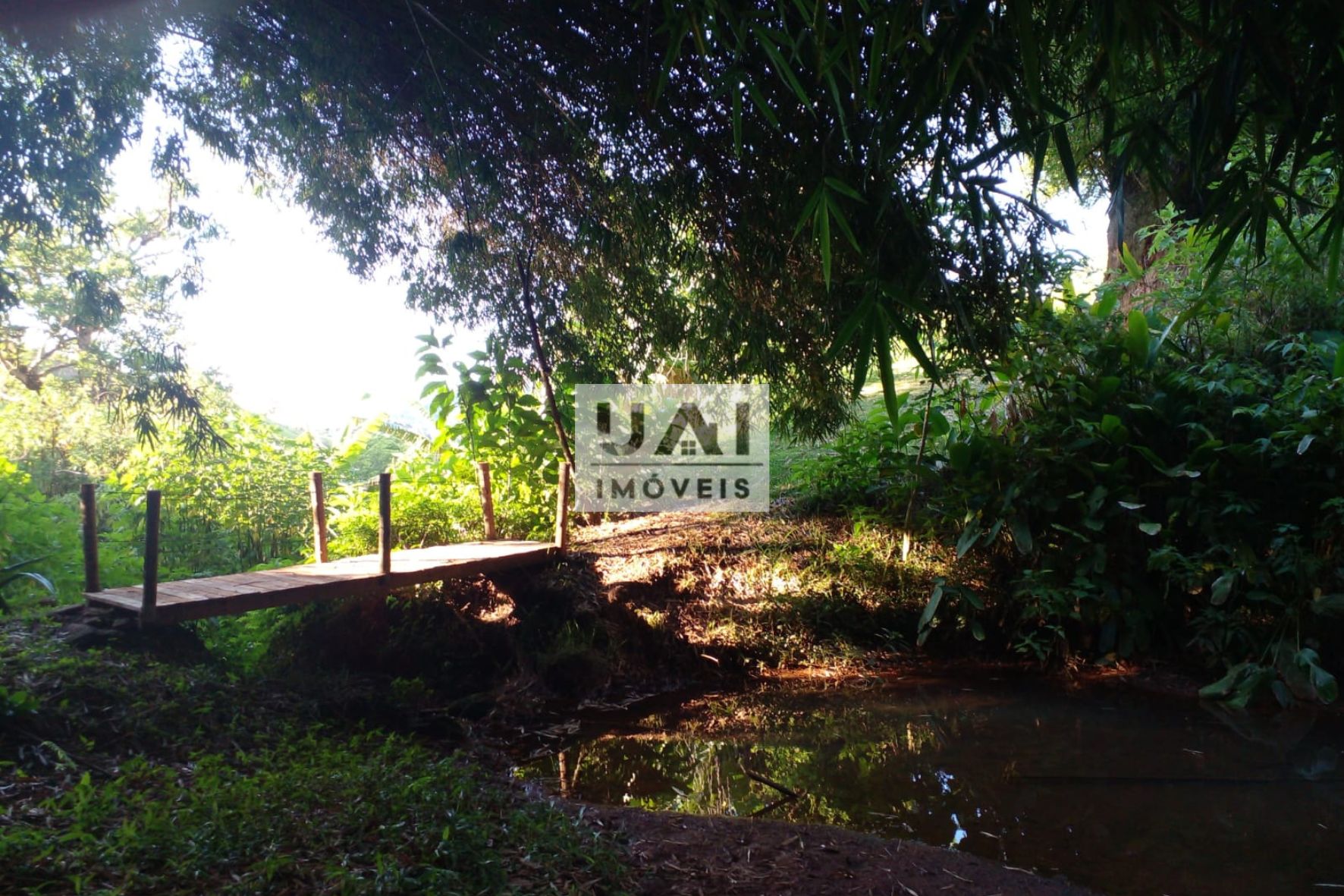 Rural / Chácara no Serra dos Toledos — foto 40