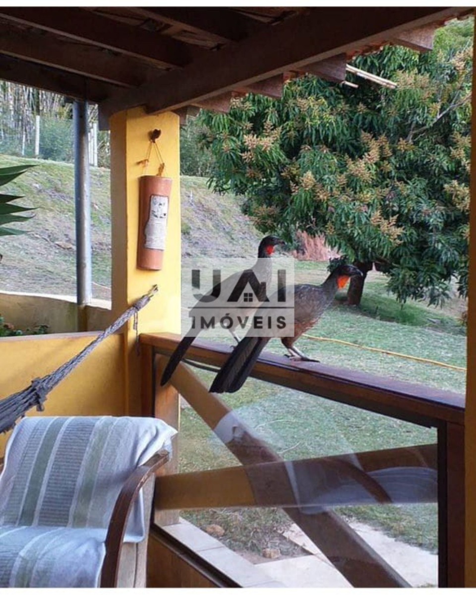 Rural / Chácara no Serra dos Toledos — foto 8