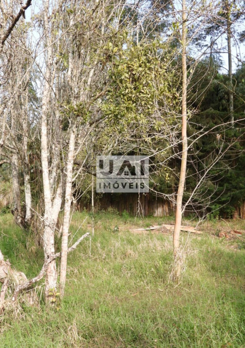 Casa no Ponte Alta — foto 17