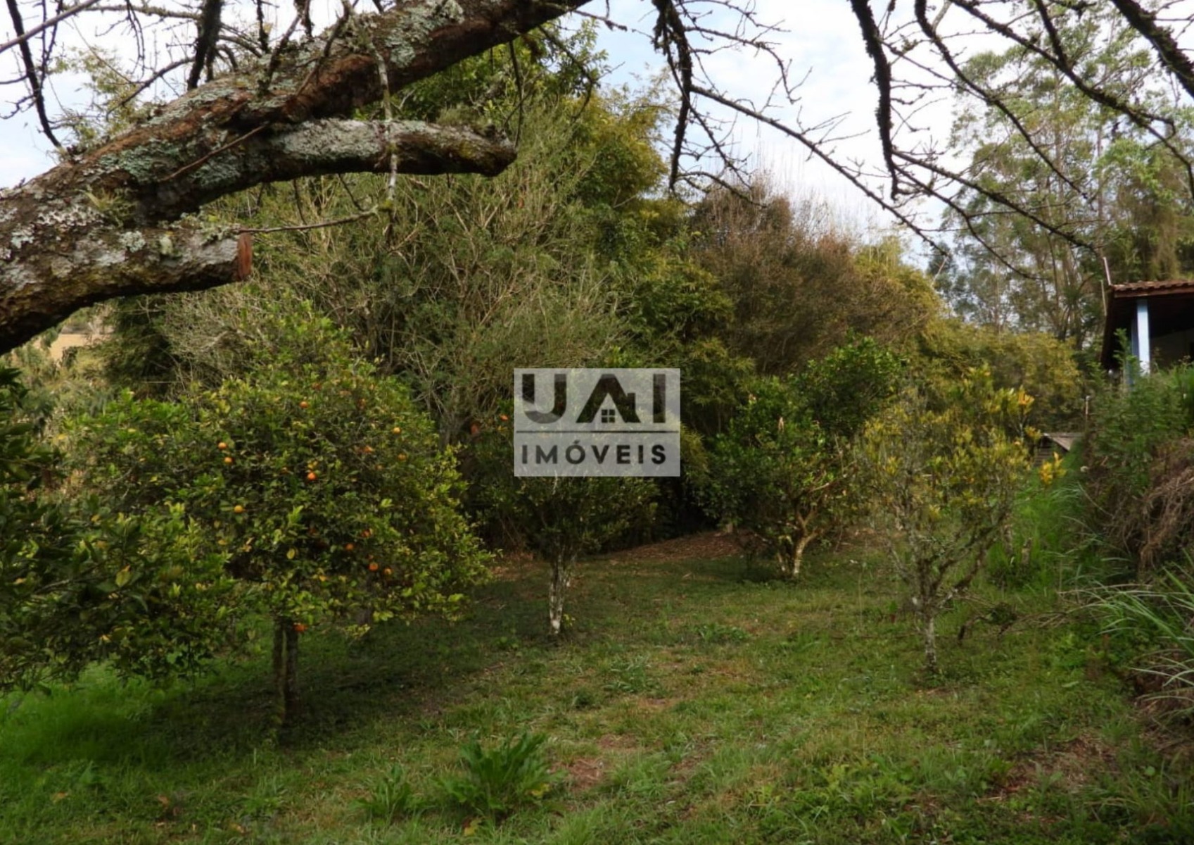 Casa no Ponte Alta — foto 4