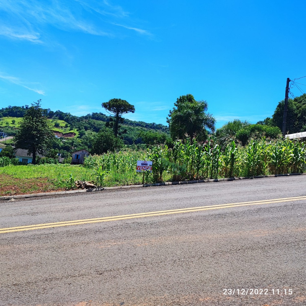 Terreno Centro de Modelo
