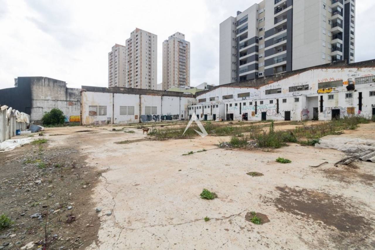 Terreno para alugar, 2392m² - Foto 3