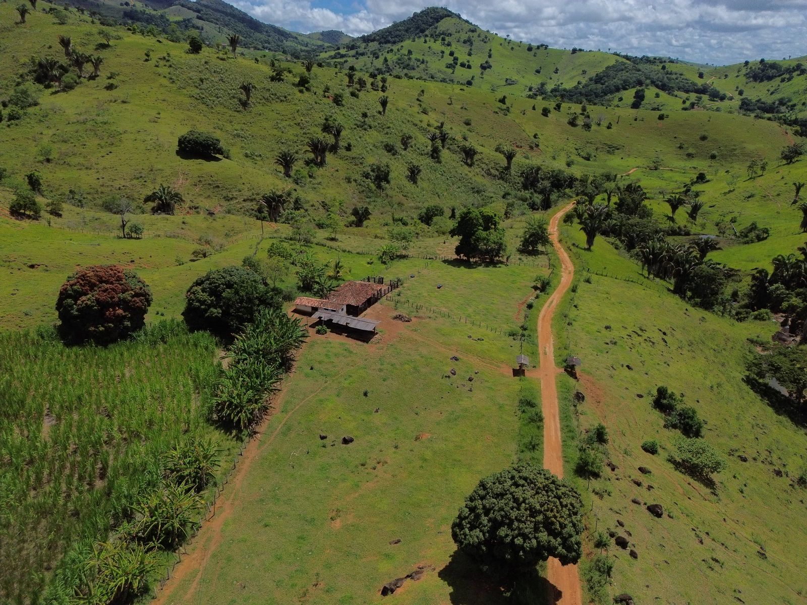 Rural em Ibicuí