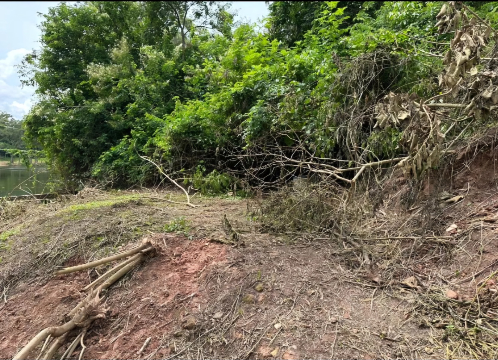 Terreno à venda, 1000m² - Foto 5