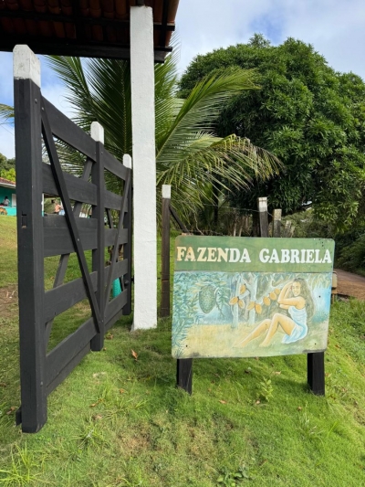 Venda - Rural (Fazenda) - Salobrinho - Ilhéus/BA - Cod. IMOB444170245