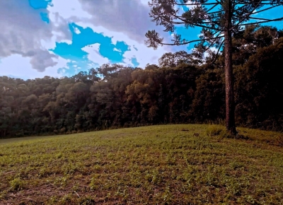 Venda - Rural (Chácara) - CARDOSOS - Contenda/PR - Cod. IMOB229655743