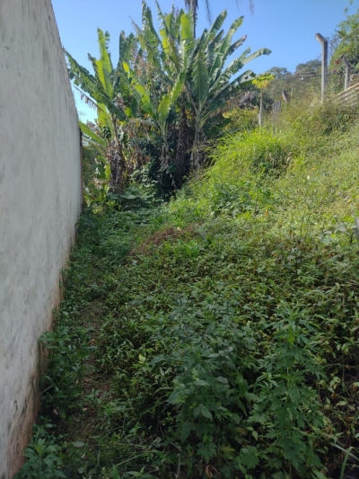Venda - Terreno (Em rua) - Panorama (Polvilho) - Cajamar/SP - Cod. V173