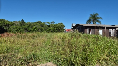 Venda - Terreno (Em rua) - Praia do Ervino - São Francisco do Sul/SC - Cod. Terreno 203 