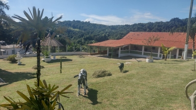 Venda - Rural (Sítio) - Zona Rural - Piedade/SP - Cod. SI100