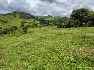 Venda - Rural (Sítio) - Zona Rural - Munhoz/MG - Cod. --378